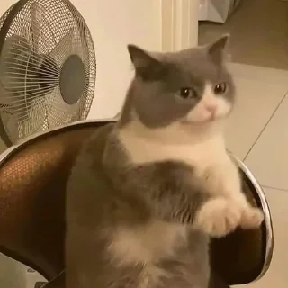 😐