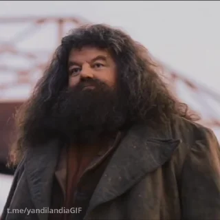 👋