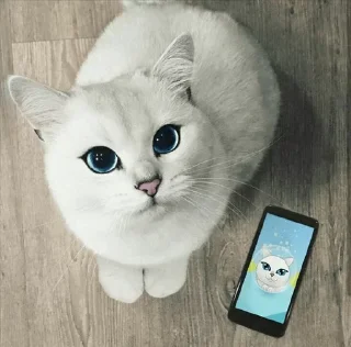 💙