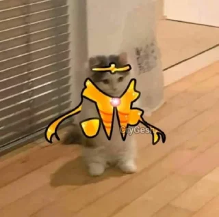 🐱