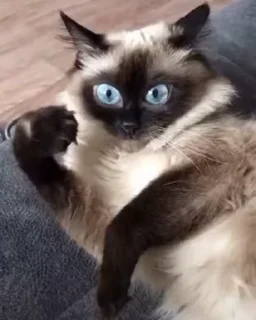 👀