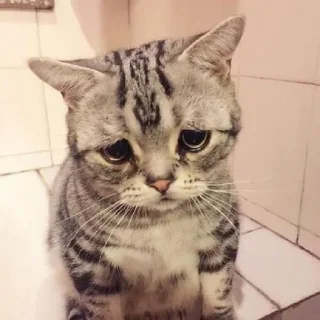 😞