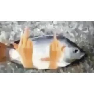 🖕