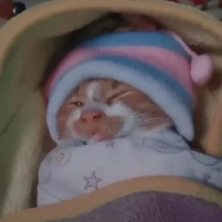 🛌