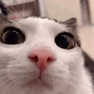 😗