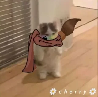 🐱