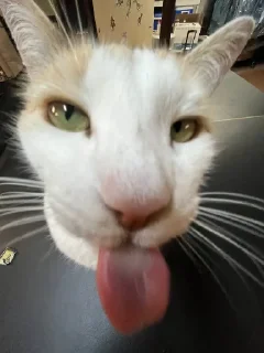 😛
