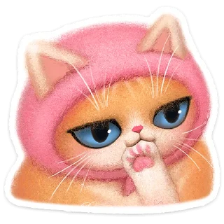 🐱