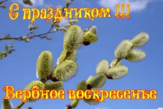 🌷