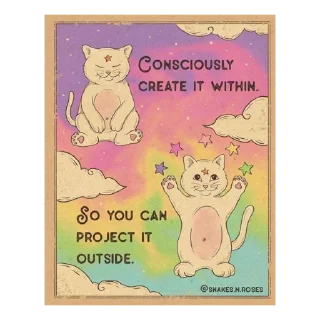 ✨