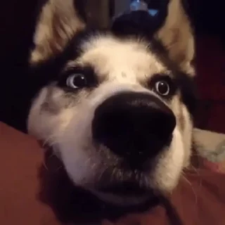 😒