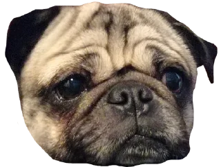 🥺