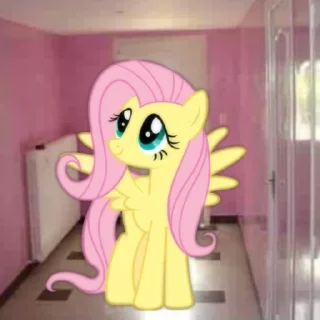 🏡