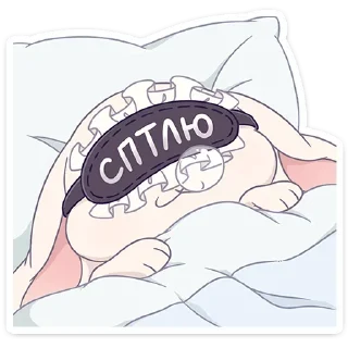 😴