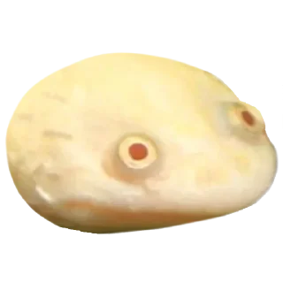 🐸