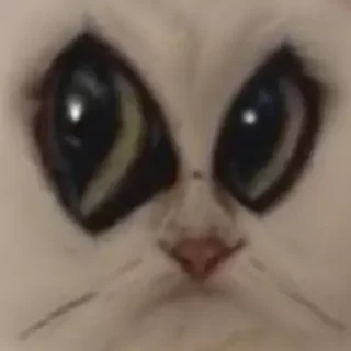 😳