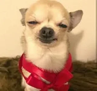 😑