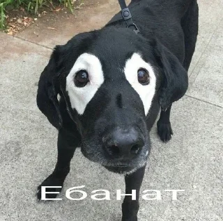 😎