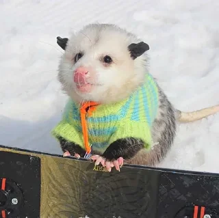 😜