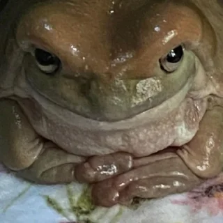 😈