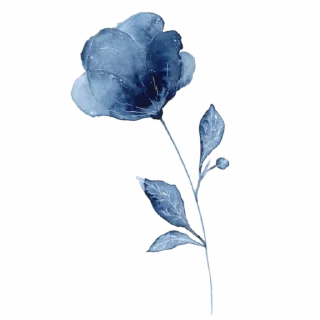 🌹