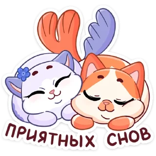 😴
