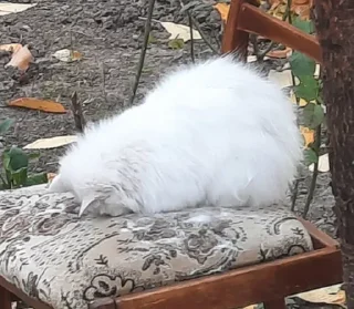 😴