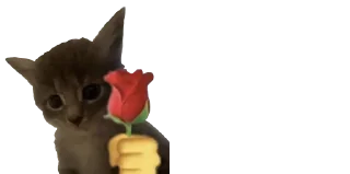 ❤️