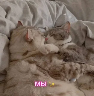 💞