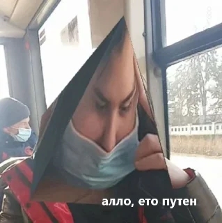 бабочки