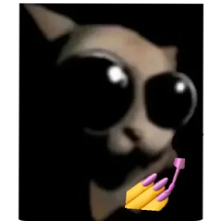 🐱