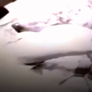 🤩