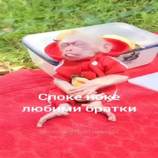 🐵