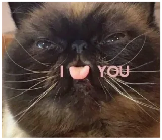 🎱