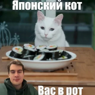 😎