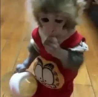 😶