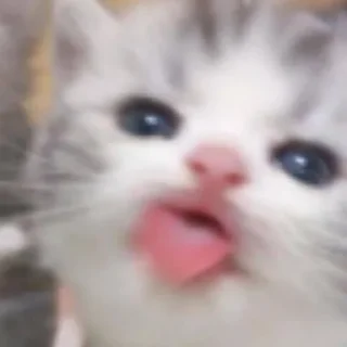 😛