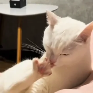 😊