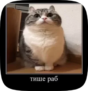 😡