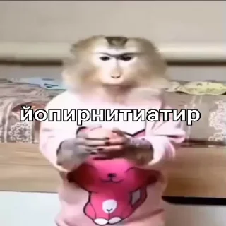 🐵