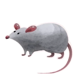 🐀