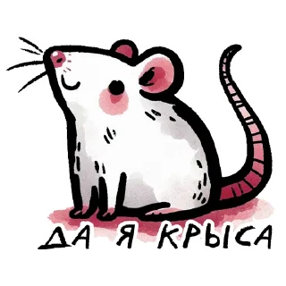 🐁