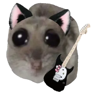 🎸