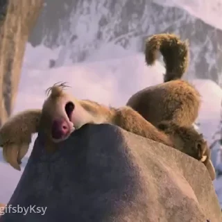 😴
