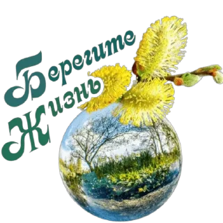 🌍