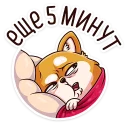 😴