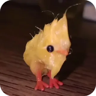 🦖