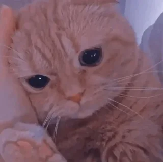 😞