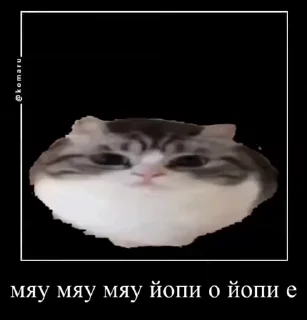 ☺️