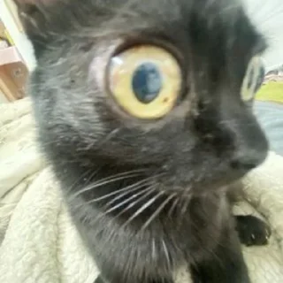 😳